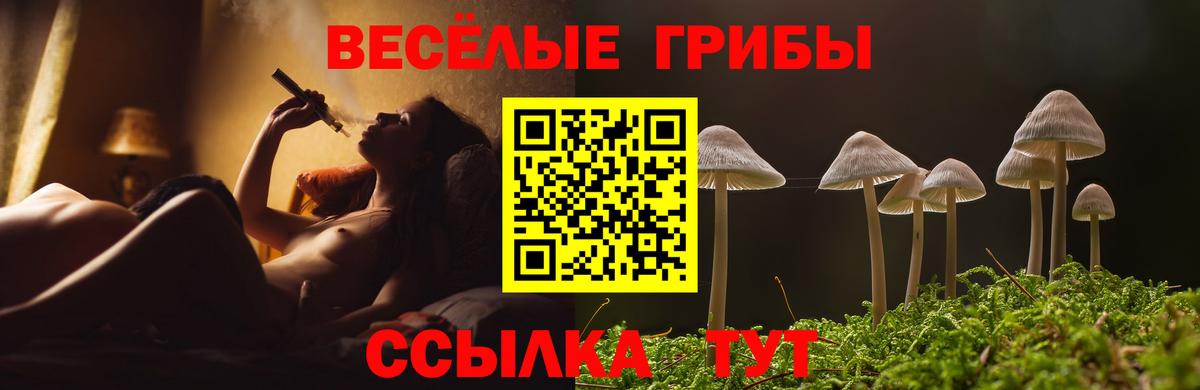 Псилоцибиновые грибы прущие грибы  Псилоцибиновые грибы мицелий  Петропавловск-Камчатский  Вход с VPN 